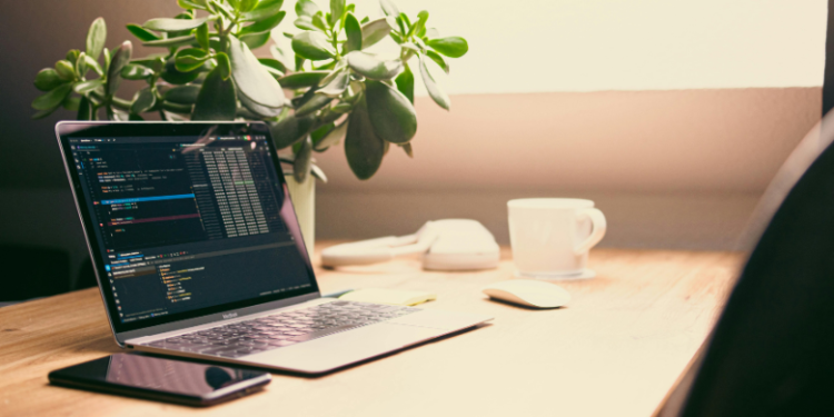 best plants for office with no windows