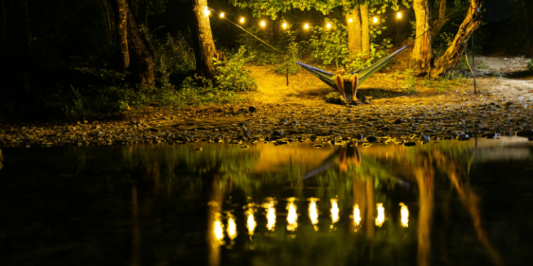 blank park zoo wild lights 2025