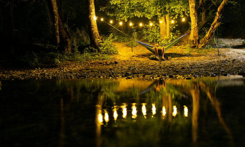 blank park zoo wild lights 2025