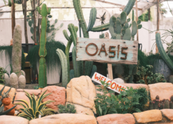 oasis blur britpop rivalry wales 2026