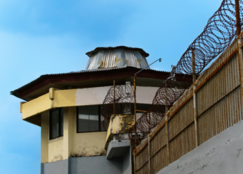 brevard county jail mugshots sharps