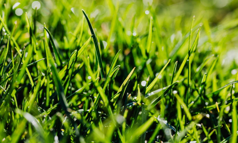 how to lay artificial grass