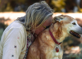 dog itchy skin home remedy