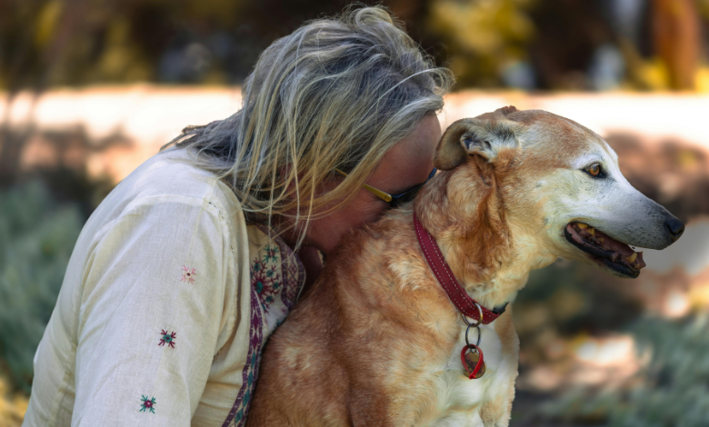 dog itchy skin home remedy